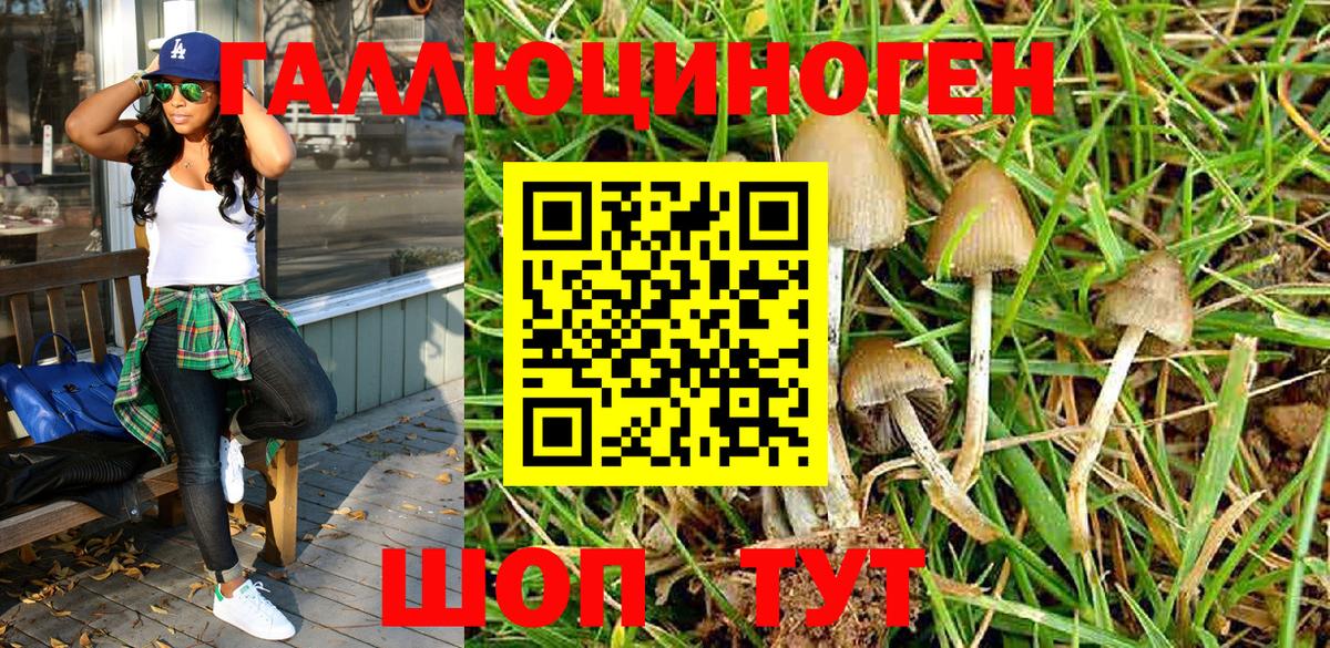 Галлюциногенные грибы ЛСД  Галлюциногенные грибы MAGIC MUSHROOMS  Вход с VPN  Новоалександровск 